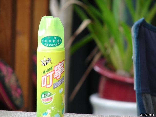 我家小夯的後花園開箱