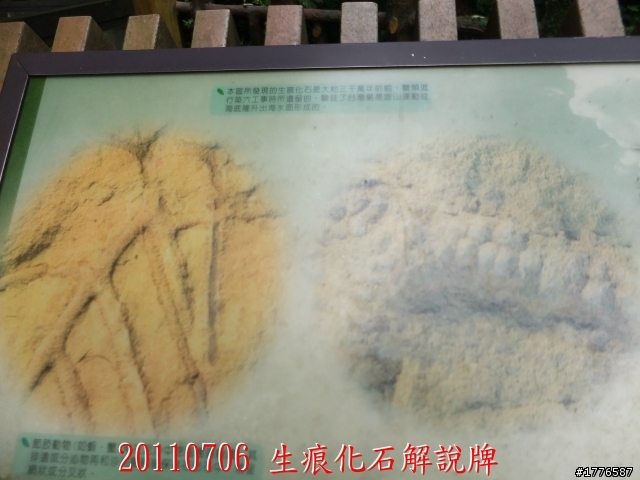 20110706 東眼山東滿步道滿月圓自行車之旅