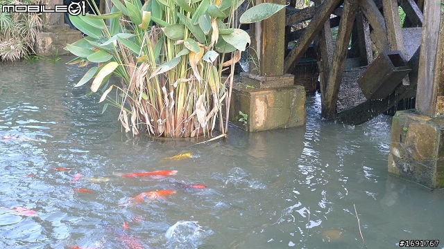 20110724看海忘憂之旅(圖多,北宜公路-北海岸)