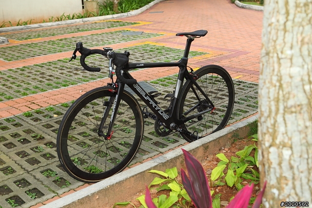 ［分享］Neil Pryde Alize 碳纎公路車