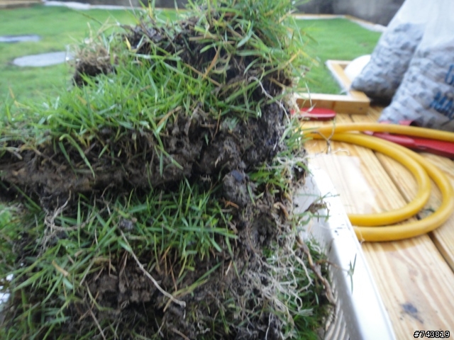 分享~~隔熱綠屋頂DIY