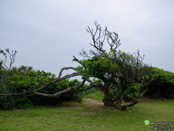 [景點分享]北海岸隨走_富貴角燈塔與老梅綠石槽
