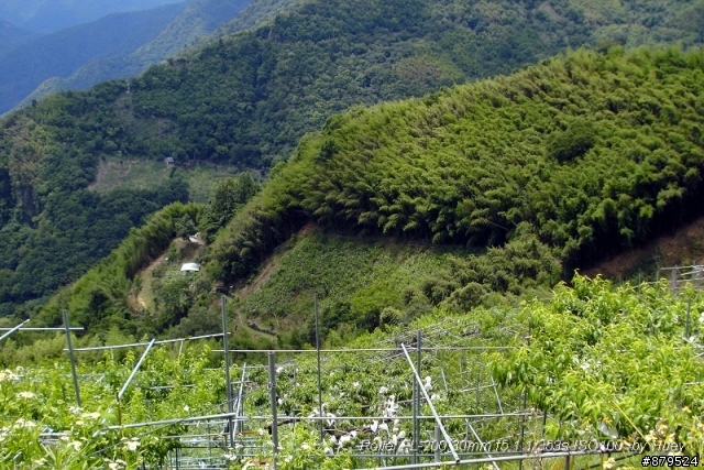 巴陵山與卡拉部落船型教堂