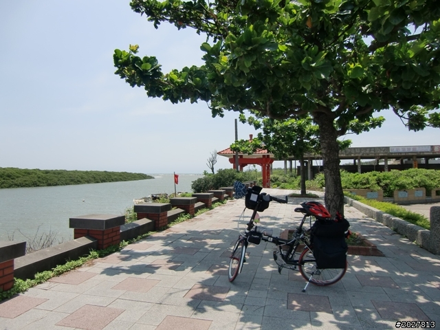 阿伯`大星&(環)島愛