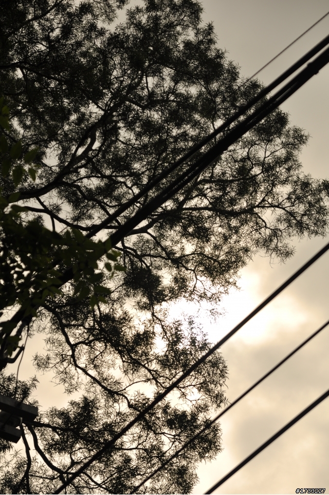 嘉義梅山