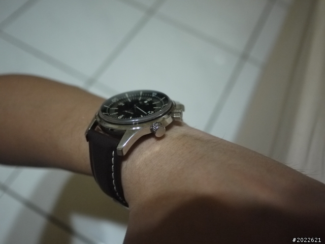 LONGINES 復刻Legend Diver 開箱