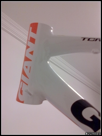 2011 Giant TCR單售車架
