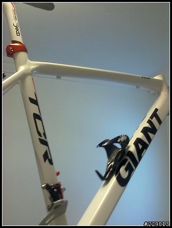 2011 Giant TCR單售車架