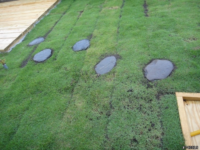 分享~~隔熱綠屋頂DIY