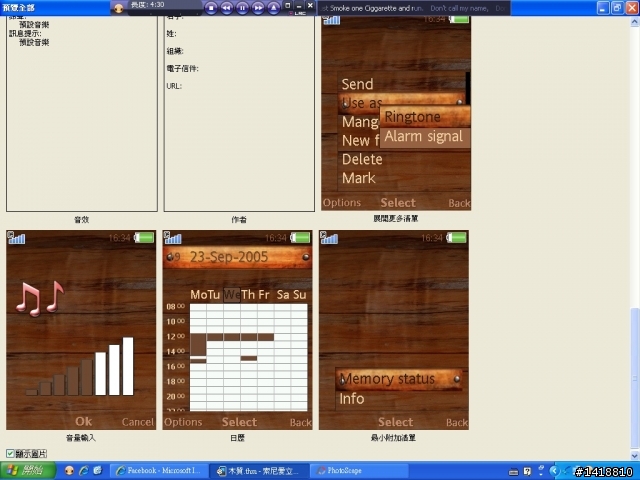 {240*320}Sony主題 木板質感