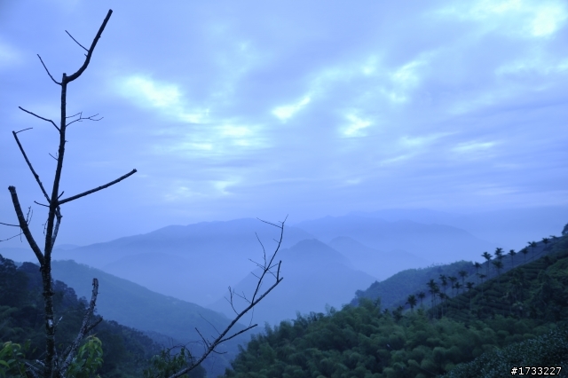 嘉義梅山