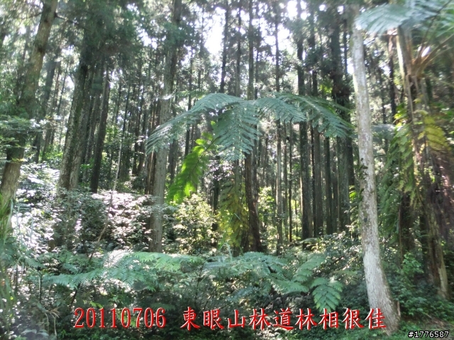20110706 東眼山東滿步道滿月圓自行車之旅