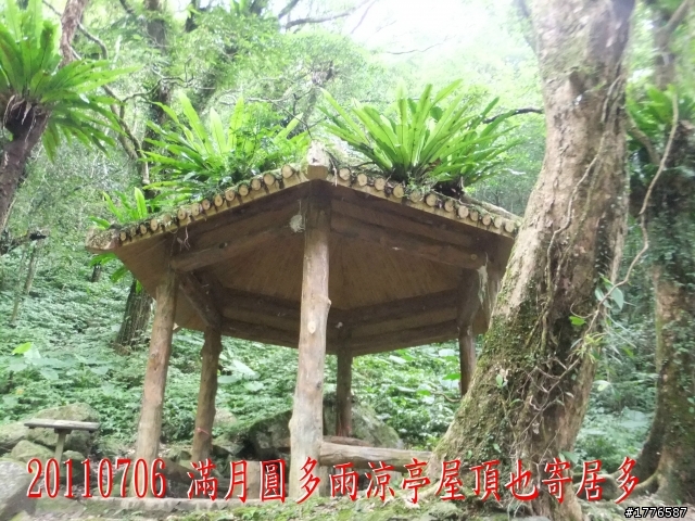 20110706 東眼山東滿步道滿月圓自行車之旅