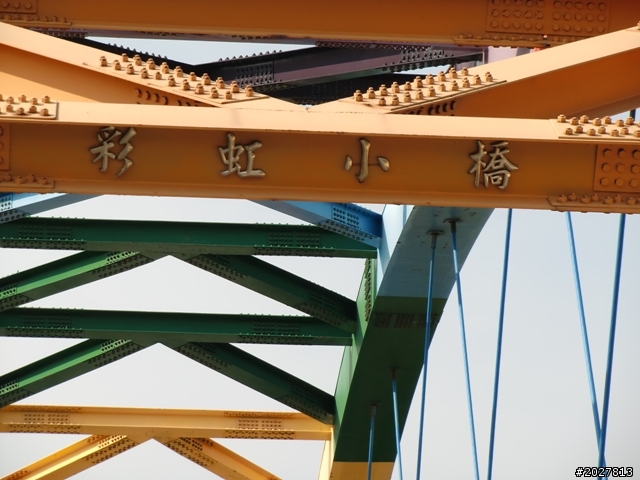 阿伯`大星&(環)島愛