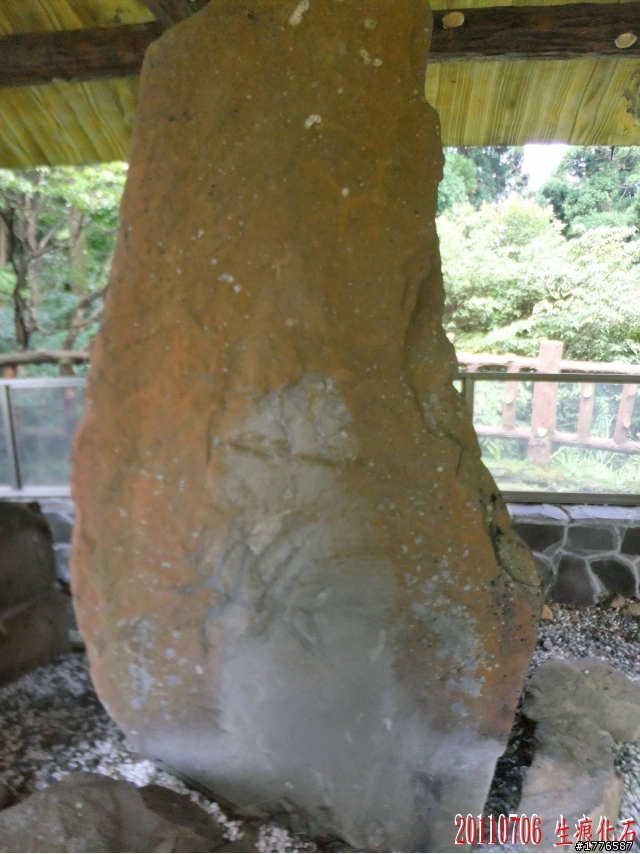20110706 東眼山東滿步道滿月圓自行車之旅