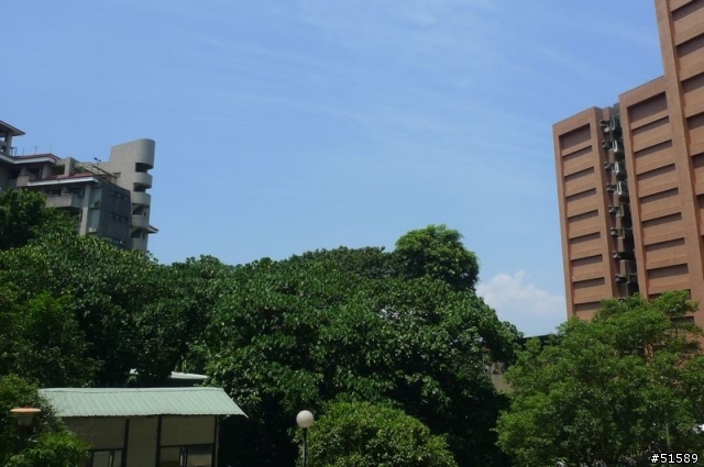 相機防水袋，普通相機也能升級成潛水相機
