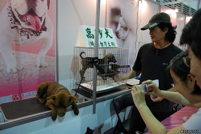 2011 台北寵物用品展(隨便亂拍)