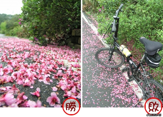 風景跟單車，要如何取捨？有否「單車+攝影達人」可以指點迷津？