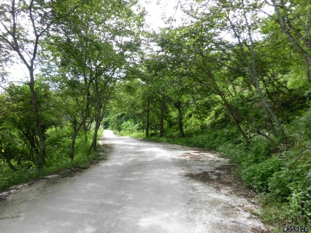 2011-07-03 米棧水璉(花38-1) 箭瑛(花46)  產業道路 縣193 [花蓮小橫貫]
