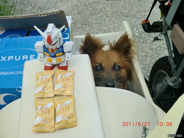 鋼彈邊車的6/27～7/1的5天5夜環島之旅--5天