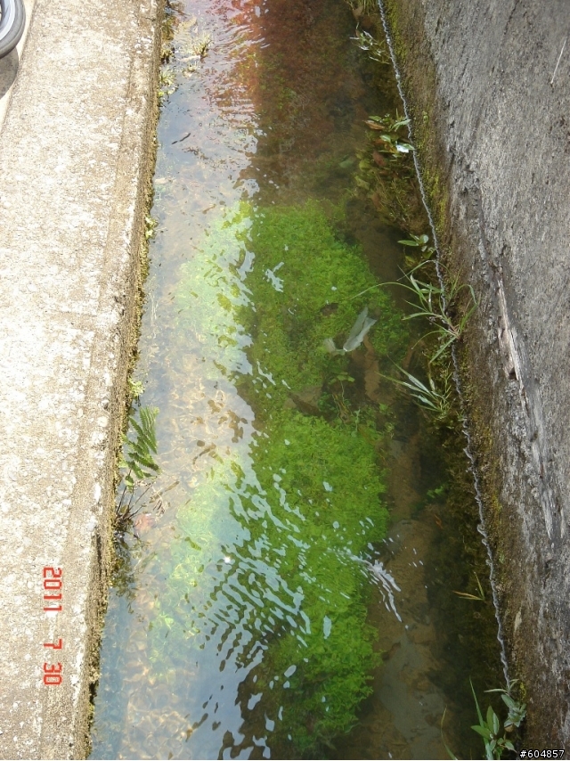 陽金公路旁的水溝