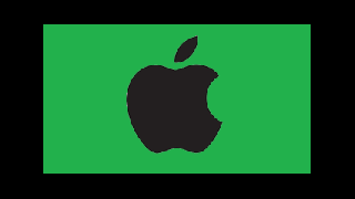 iPad VGA or HDMI adapter