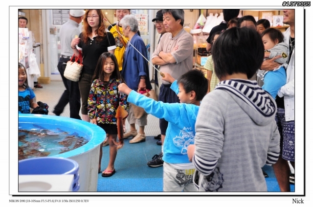 D90 18-105+ T116 北海道八天七日遊