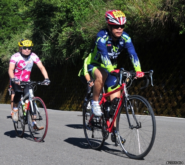 2011 ●  跳 跳 虎 在 武 嶺 ● 照片再次呈獻 08/26上傳