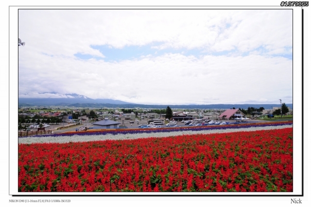 D90 18-105+ T116 北海道八天七日遊
