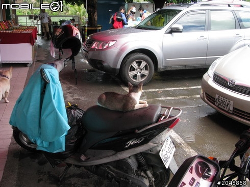 [7/13-Day4]民國100年吃吃吃騎車看風景大環島