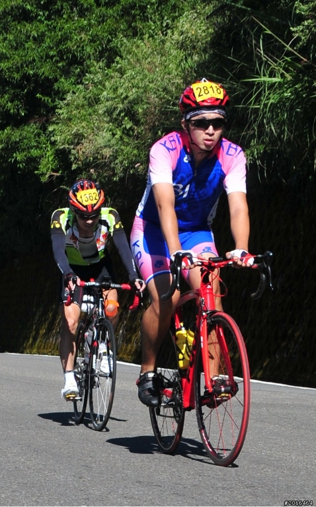 2011 ●  跳 跳 虎 在 武 嶺 ● 照片再次呈獻 08/26上傳