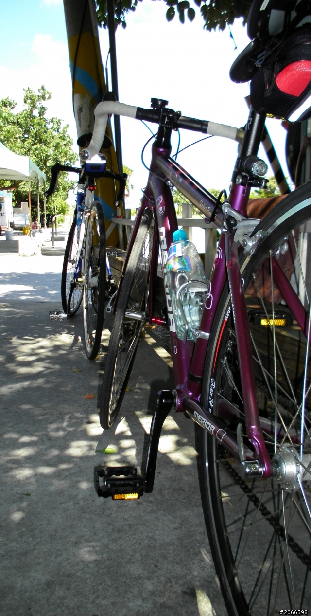 分享我跟女王的車!