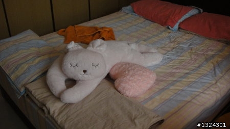 夏日炎炎救星----粉紅百葉窗