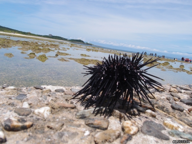 【分享】碧海藍天綠島行