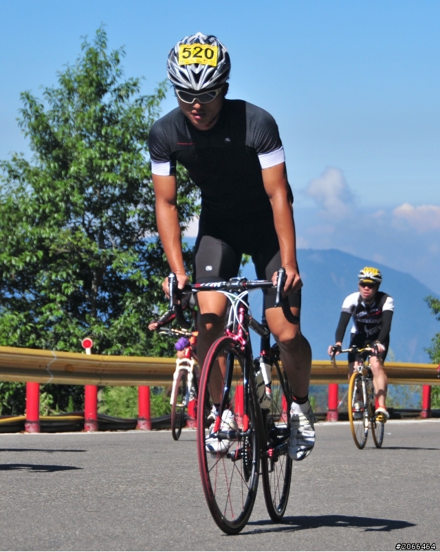 2011 ●  跳 跳 虎 在 武 嶺 ● 照片再次呈獻 08/26上傳