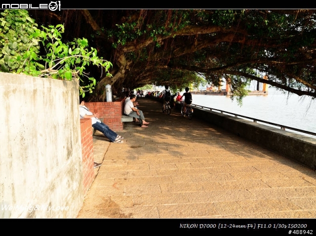 T124+50mm f1.4d 信義淡水趴趴走