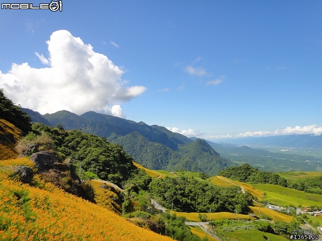 六十石山-金針花海~ 世界末日前一定要來一次的!