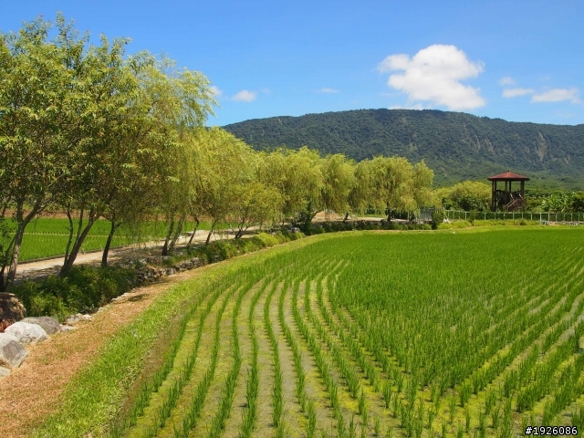 哈雷-花東之旅(197縣道/六十石山/布洛灣)20110819-21