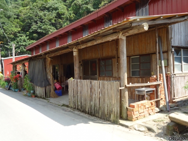 8/15阿里山部落之旅(里佳部落.達邦部落.特富野部落)