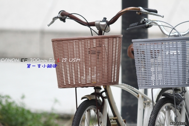 我的第一隻小白砲,補圖~(300mm f4 is L超簡易開箱)