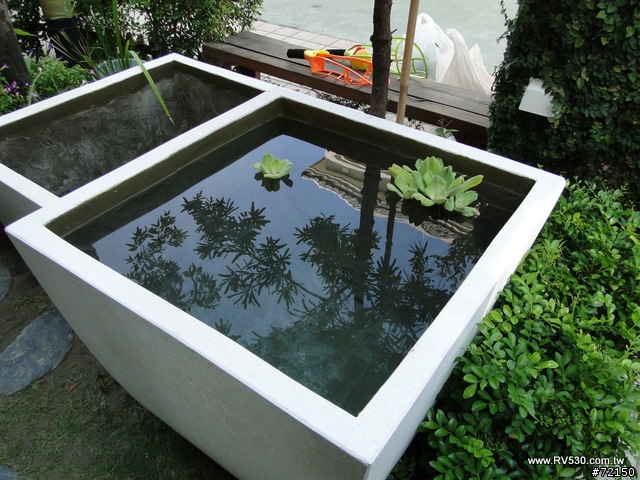 花園 [ 荷花生態缸 ] 防水施工全記錄