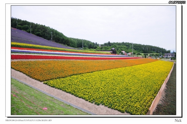 D90 18-105+ T116 北海道八天七日遊
