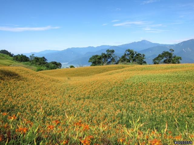 颱風前上六十石山v.s赤科山~圖多...