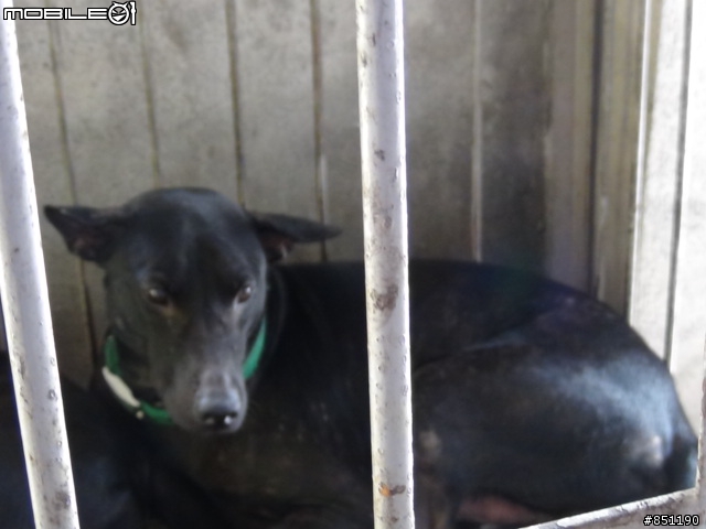 09年TIIDA 4萬公里保養<費用>