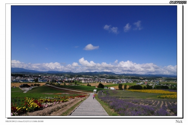 D90 18-105+ T116 北海道八天七日遊