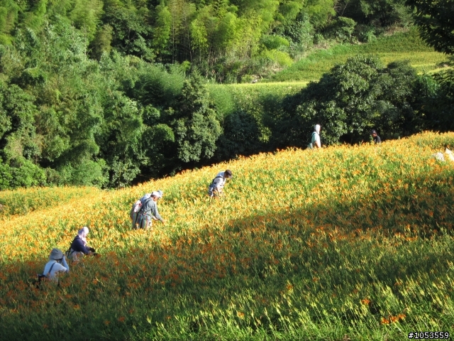 颱風前上六十石山v.s赤科山~圖多...