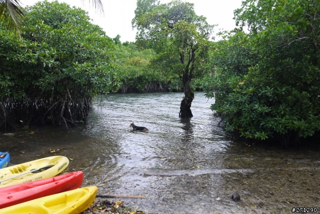 [分享]I left my heart in Palau