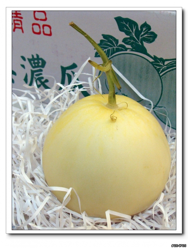 [綠色力量]蜜蜂與癩蛤蟆的嘉玉美濃瓜+尋狗訊息~