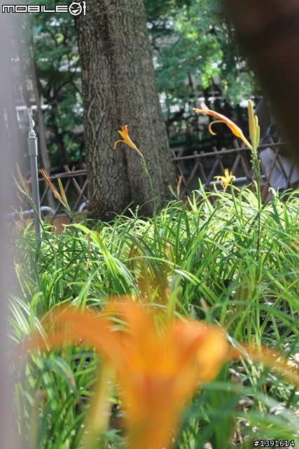 有人用CANON 1100D嗎?
