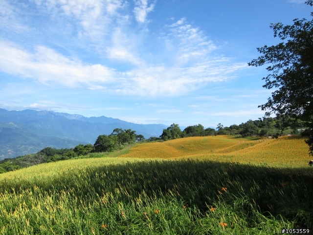 颱風前上六十石山v.s赤科山~圖多...